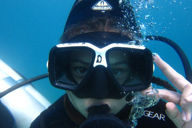 Scuba Diver Course (PADI) - Experience the Cebu PADI Scuba Diver Course: A Practical Guide