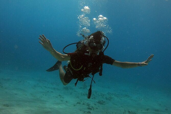 Scuba Diving (1st time) in Cancun Beginner's WELCOMED! - Key Points