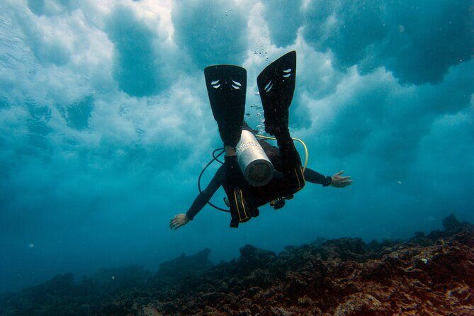 Scuba Diving (1st time) in Cancun Beginner's WELCOMED! - Who Should Join This Tour?