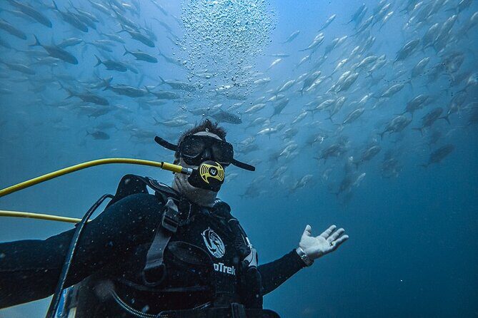 Scuba Diving - Exploring the Underwater World of Cabo San Lucas with Cabo Trek