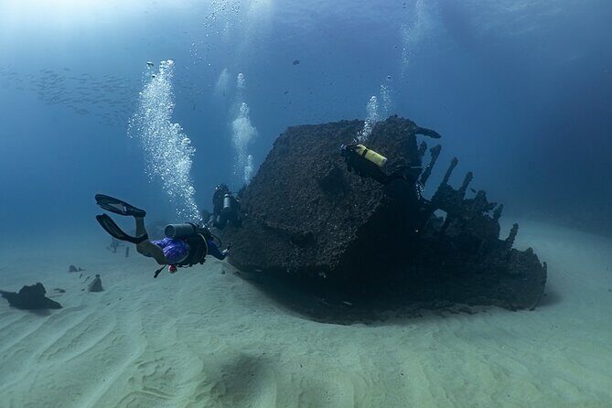 Scuba Diving - Who Will Love This Tour?