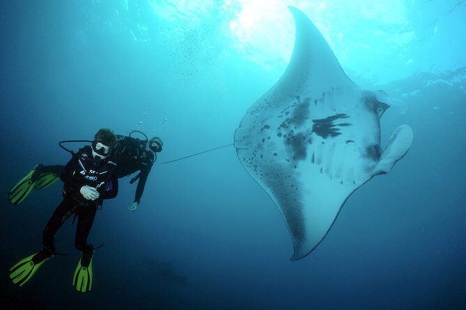Scuba Diving 3 dives including Manta Rays at Nusa Penida - Key Points