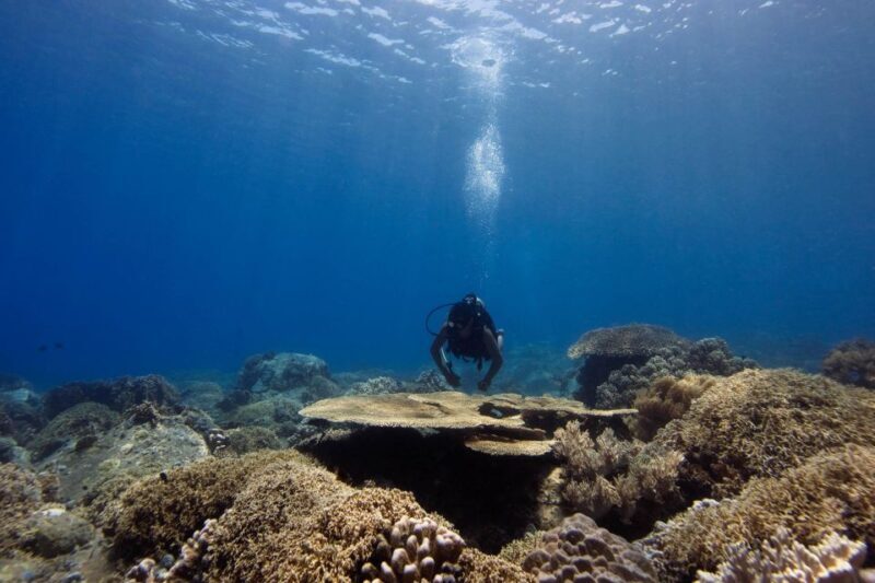 Scuba Diving 3 Islands Nha Trang Tour - Final Thoughts