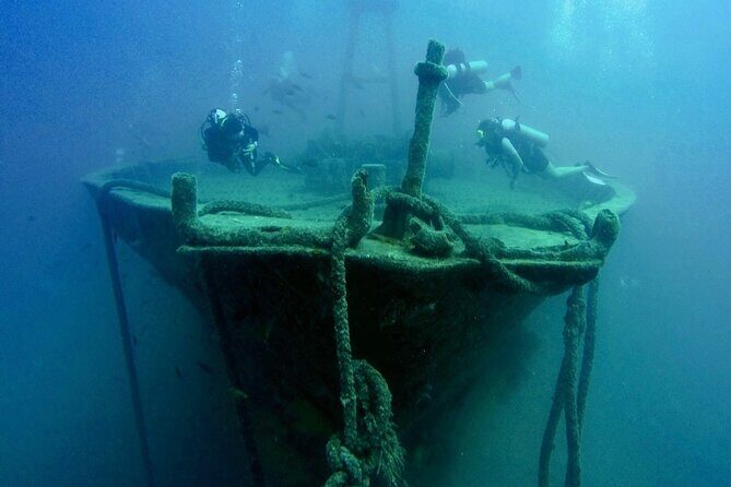 Scuba Diving Adventure in La Paz - Final Thoughts: Is It Worth It?