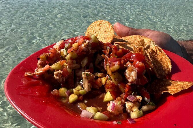 Scuba Diving Adventure in La Paz - FAQ