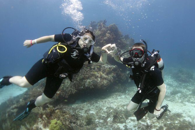 Scuba diving at MUSA the underwater museum for certified divers - Who Should Consider This Tour?