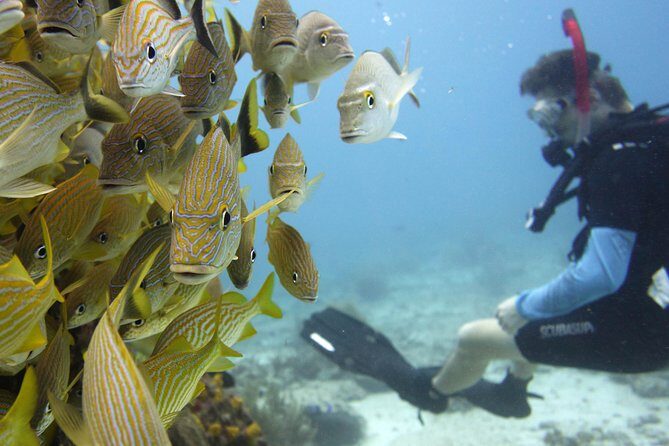 Scuba diving at MUSA the underwater museum for certified divers - Final Thoughts: Is It Worth It?