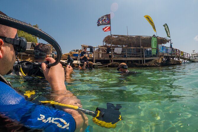 Scuba Diving at Turtle Bay with Underwater Pictures Included - Final Thoughts