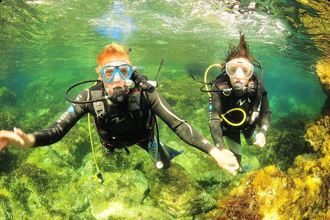 Scuba Diving Baptism and Snorkeling in Ibiza - The Value of the Experience