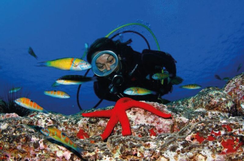 Scuba Diving Baptism in Caleta de Fuste - An Honest Look at the Caleta de Fuste Scuba Baptism