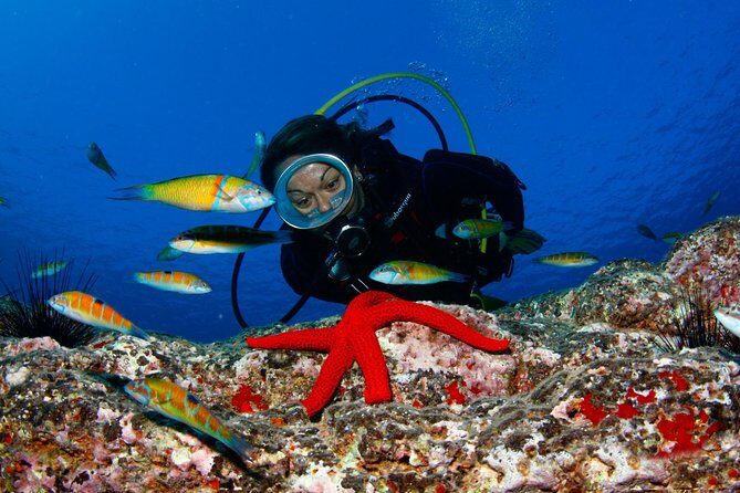Scuba Diving Baptism in Caleta de Fuste - The Value of a Short, Guided Introduction