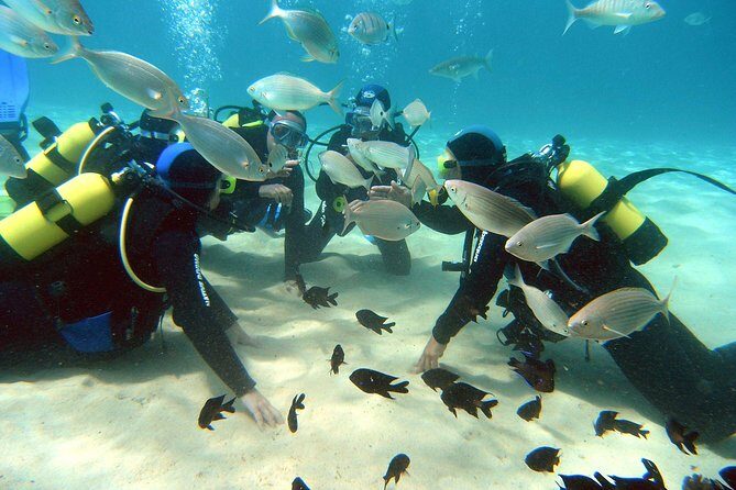 Scuba Diving (Basic Diver - 2 dives) - A Practical and Enjoyable Introduction to Scuba Diving in Lanzarote