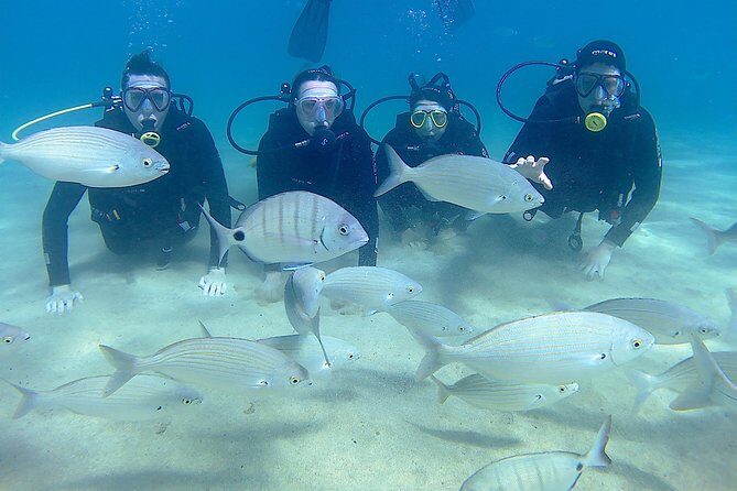 Scuba Diving (Basic Diver - 2 dives) - Frequently Asked Questions (FAQs)