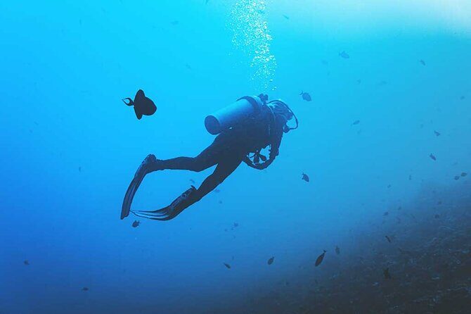 Scuba Diving Beginner Course - Final Thoughts: Is This the Right Experience for You?
