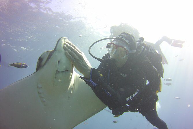 Scuba Diving Beginner's Session in Costa Adeje - A Detailed Look at the Experience