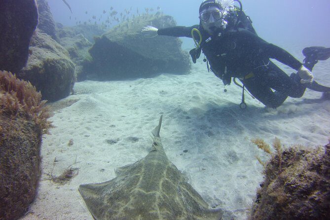 Scuba Diving Beginner's Session in Costa Adeje - The Sum Up