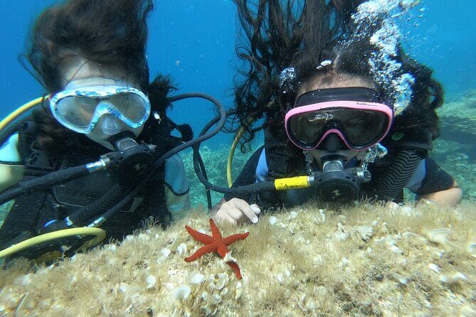 Scuba Diving Class in Mellieha - Discover Malta’s Underwater World with a Scuba Diving Class in Mellieha