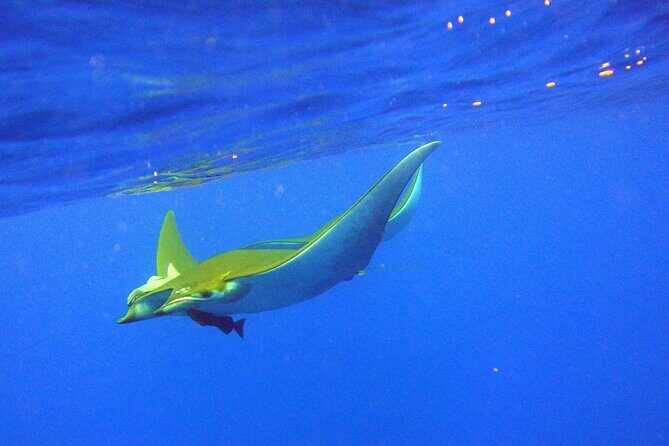 Scuba Diving - Why This Tour Excels
