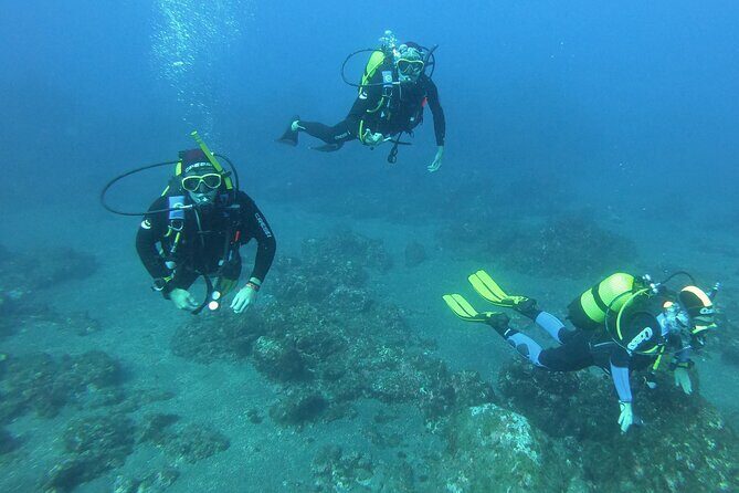 Scuba Diving - Frequently Asked Questions (FAQs)