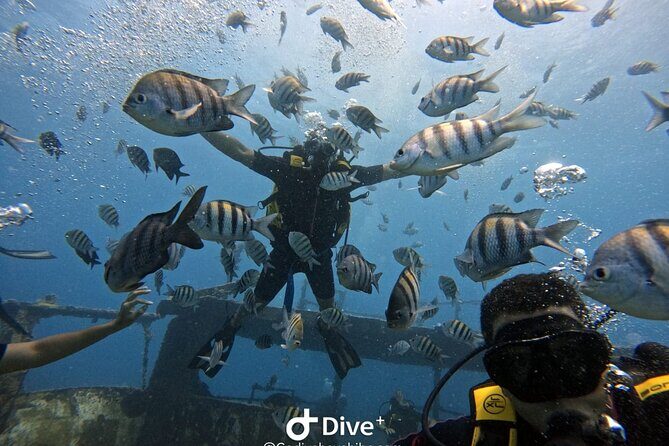 Scuba Diving Discovery in the Crystal Water DE Bayahibe - FAQs