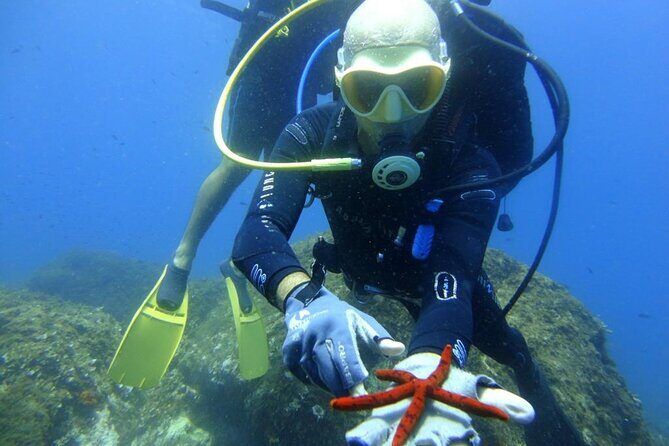 Scuba Diving Experience - Final Thoughts