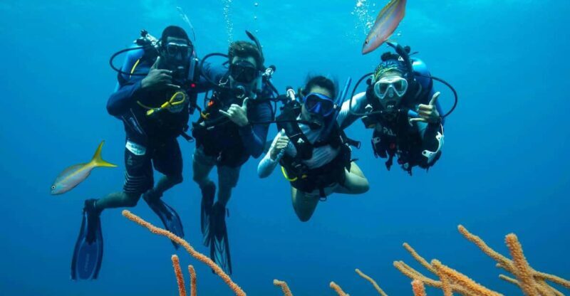 Scuba Diving Experience for Beginners In Greece - An Honest Look at the Greece Beginner Scuba Experience