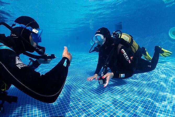 Scuba Diving Experience for Beginners in Ponta de São Lourenço - Who Is This Tour Best For?