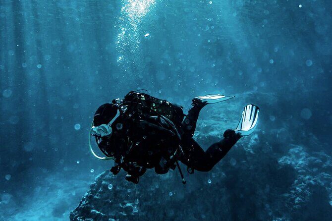Scuba Diving Experience in Alanya With Lunch and 2 Dives - Exploring the Scuba Diving Experience in Alanya — What You Need to Know