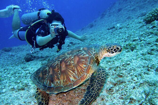 Scuba Diving Experience in Alanya With Lunch and 2 Dives - FAQ