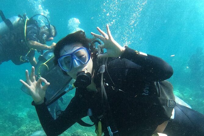 Scuba Diving Experience in Nha Trang Bay - Introduction to the Tour Experience