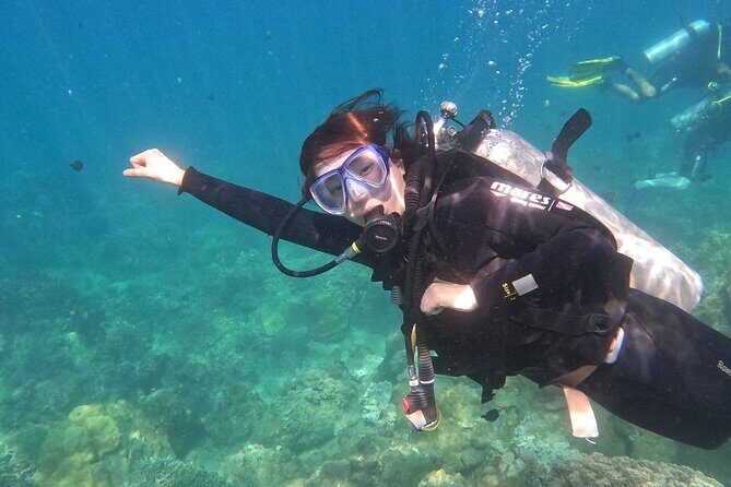 Scuba Diving Experience in Nha Trang Bay - Practical Information and Value