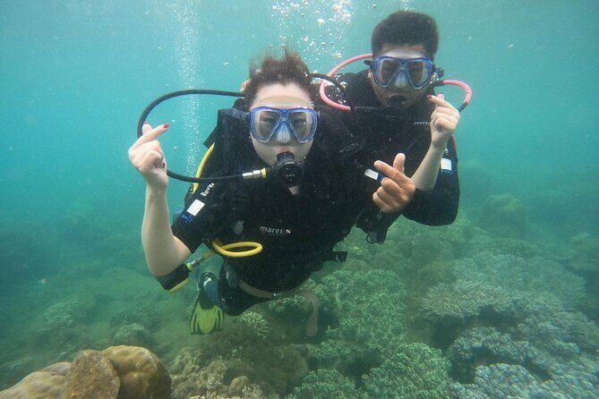 Scuba Diving Experience in Nha Trang Bay - Who Should Consider This Tour?