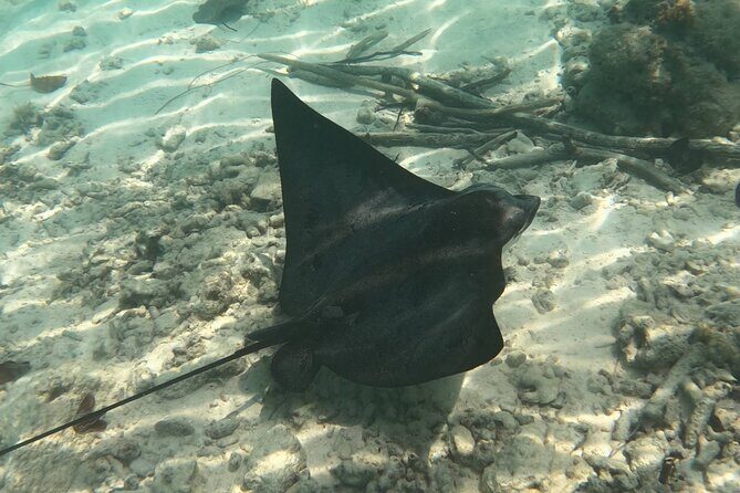 Scuba Diving Experience in Santorini - Who Should Consider This Experience?