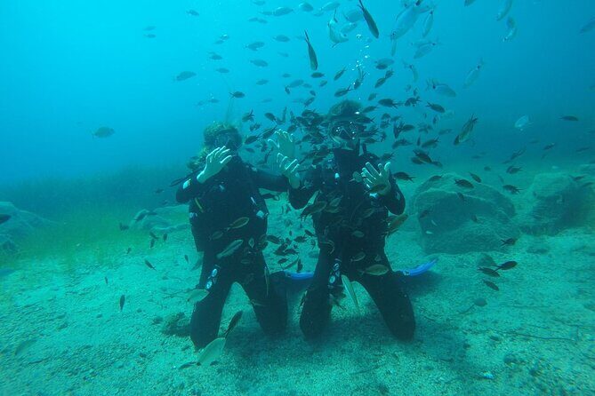 Scuba Diving Experience in Santorini - The Sum Up