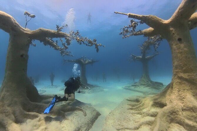 Scuba Diving Experience & MUSAN Dive + Free Edited Video 2xdives - Exploring the Full Experience: What You Can Expect