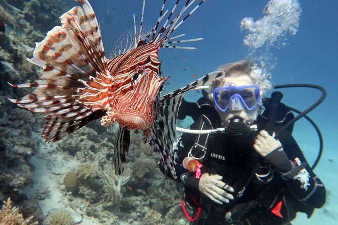Scuba Diving Experience & MUSAN Dive + Free Edited Video 2xdives - FAQ