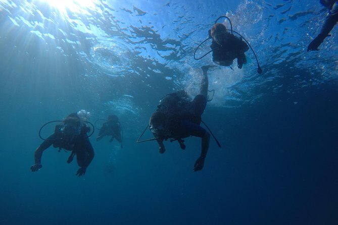 Scuba Diving For Beginners - Who Should Consider This Tour?