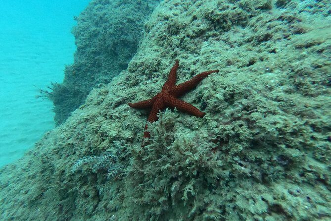 Scuba Diving For Beginners - Final Thoughts