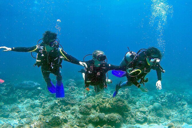 Scuba Diving for Beginners in Pula - An In-Depth Look at the Pula Scuba Experience