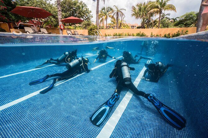 Scuba Diving for Beginners  Playa del Carmen or Tulum - Why Choose This Scuba Experience?