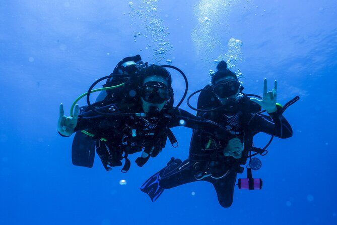 Scuba Diving for Beginners  Playa del Carmen or Tulum - FAQ