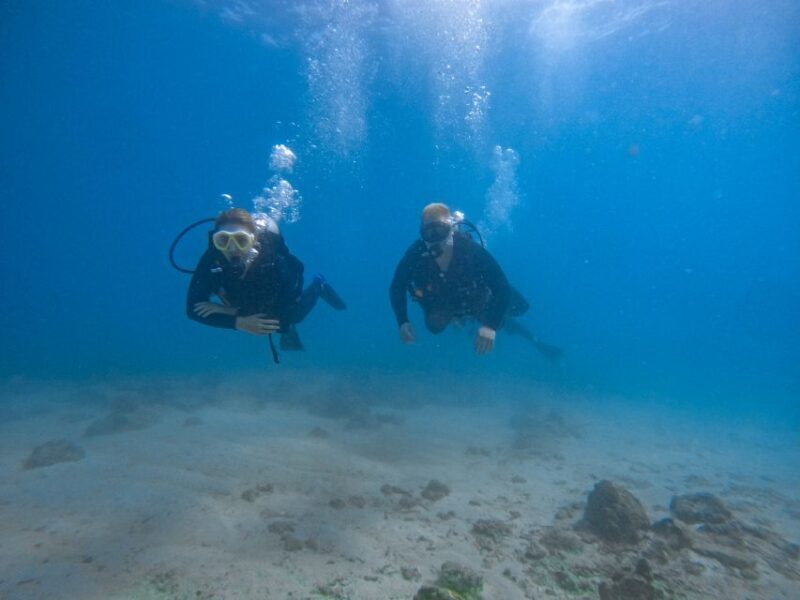 Scuba Diving for Beginners with Certified Diving Centre - Exploring the Experience in Detail