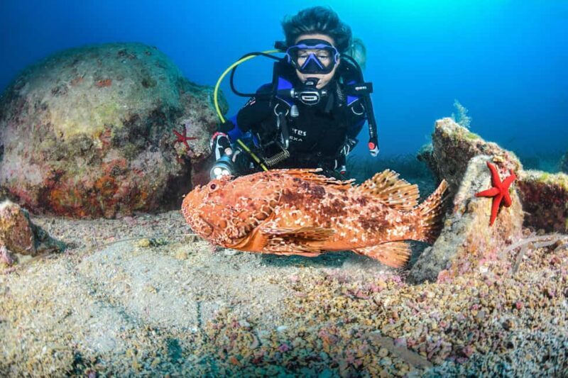 Scuba Diving for Certified Divers - An In-Depth Look at the Experience