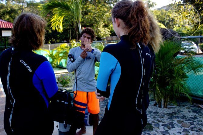 Scuba Diving for Non-Certified Divers at Catalina Islands & North Island - CR - Key Points