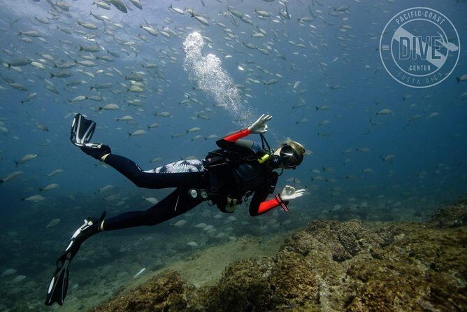 Scuba Diving for Non-Certified Divers at Catalina Islands & North Island - CR - Who Will Love This Experience?