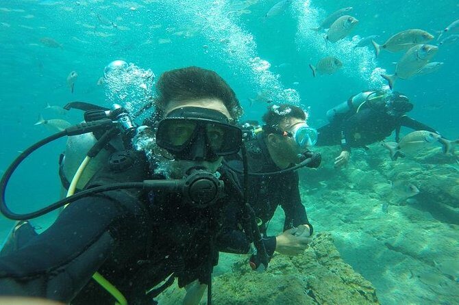 Scuba Diving from Marmaris Area - A Deep Dive into What You Can Expect