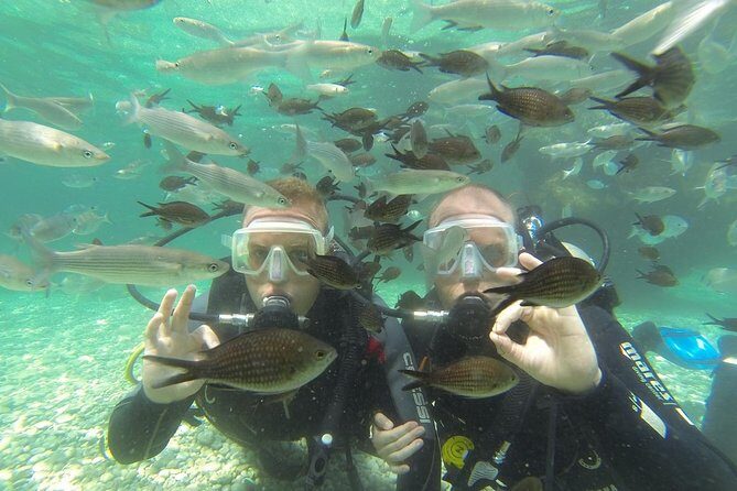 Scuba Diving from Sarigerme - Final Thoughts