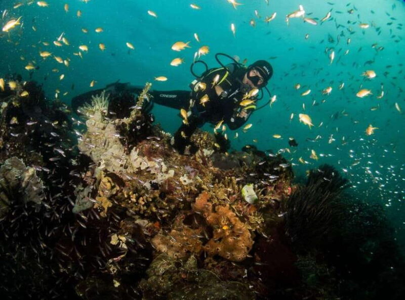 Scuba Diving in Boracay: SSI Basic Diver for Beginners - FAQ