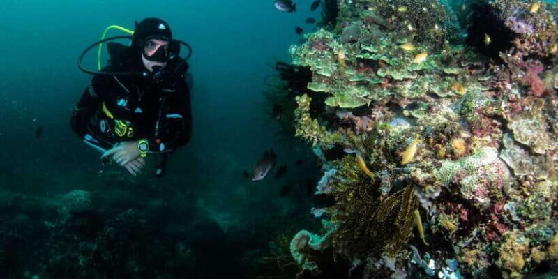 Scuba Diving in Boracay: SSI Open Water Certification - Who Will Love This?