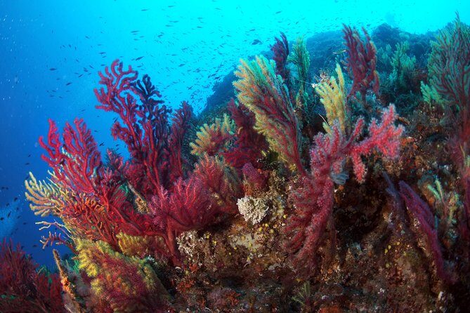 Scuba diving in Calabria, Italy - Final Thoughts